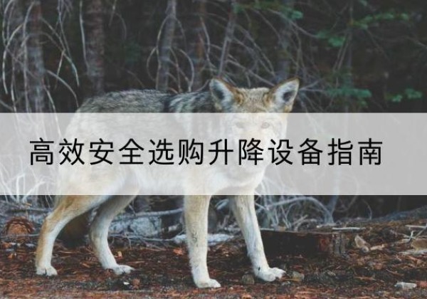 罗庄升降货梯厂家推荐-*安全选购升降设备指南