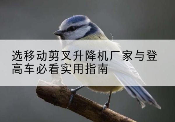 罗庄电动升降机厂家-选移动剪叉升降机厂家与登高车必看实用指南