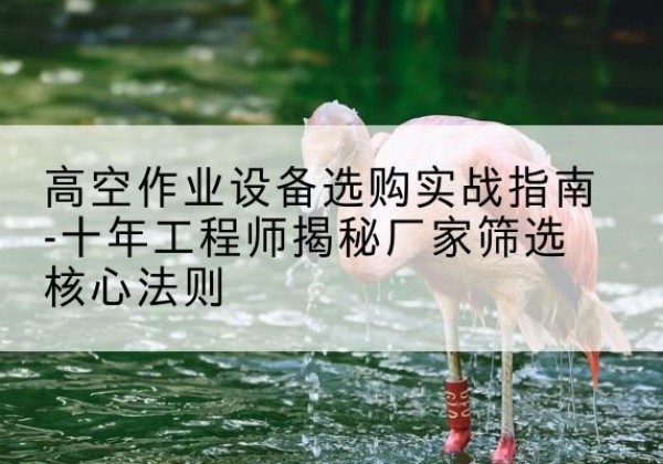 罗庄剪叉式升降机厂家-高空作业设备选购实战指南-十年工程师揭秘厂家筛选核心法则