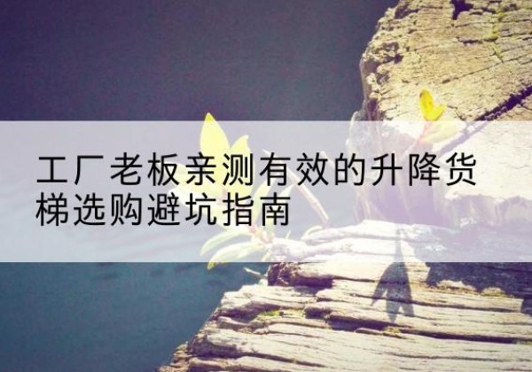罗庄升降货梯怎么选-工厂老板亲测有效的升降货梯选购避坑指南